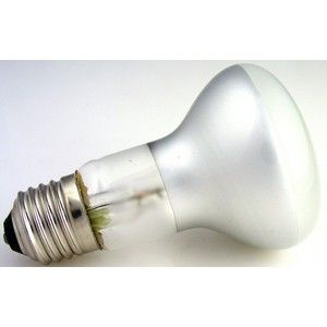 SEAL BEAM BULB (17 W, 6.3 V)