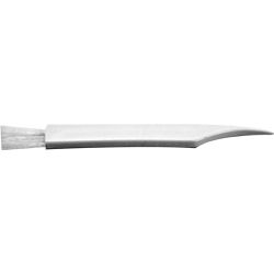 LINT BRUSH
