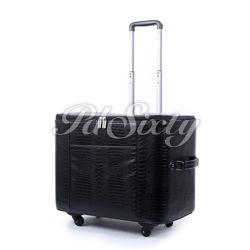 HARD SIDED SPINNER CASE