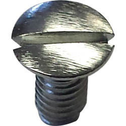 SCREW FOR NEEDLE PLATE,